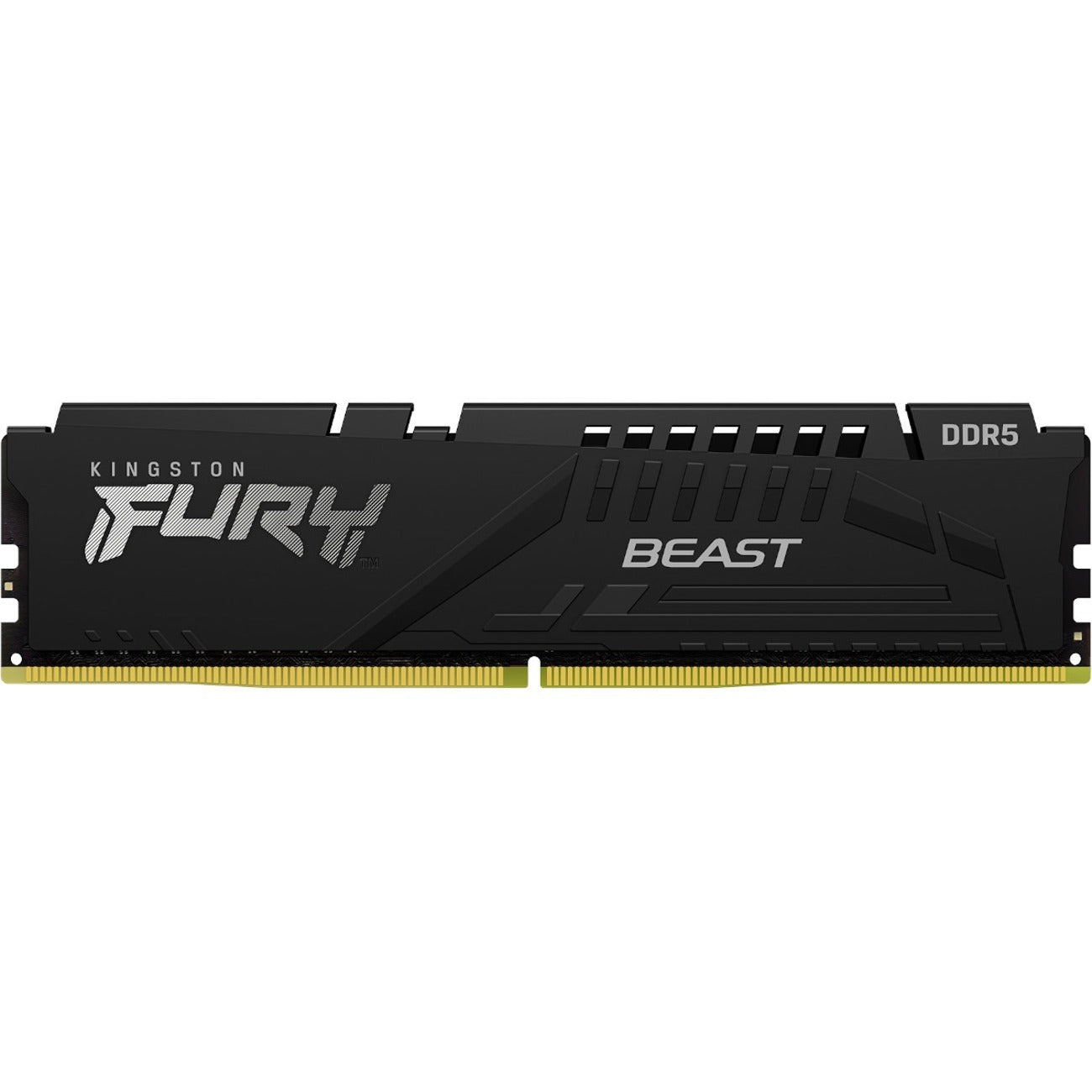 Kingston KF556C36BBE-32 FURY Beast 32GB DDR5 5600 PC5-44800 288pin Memory RAM