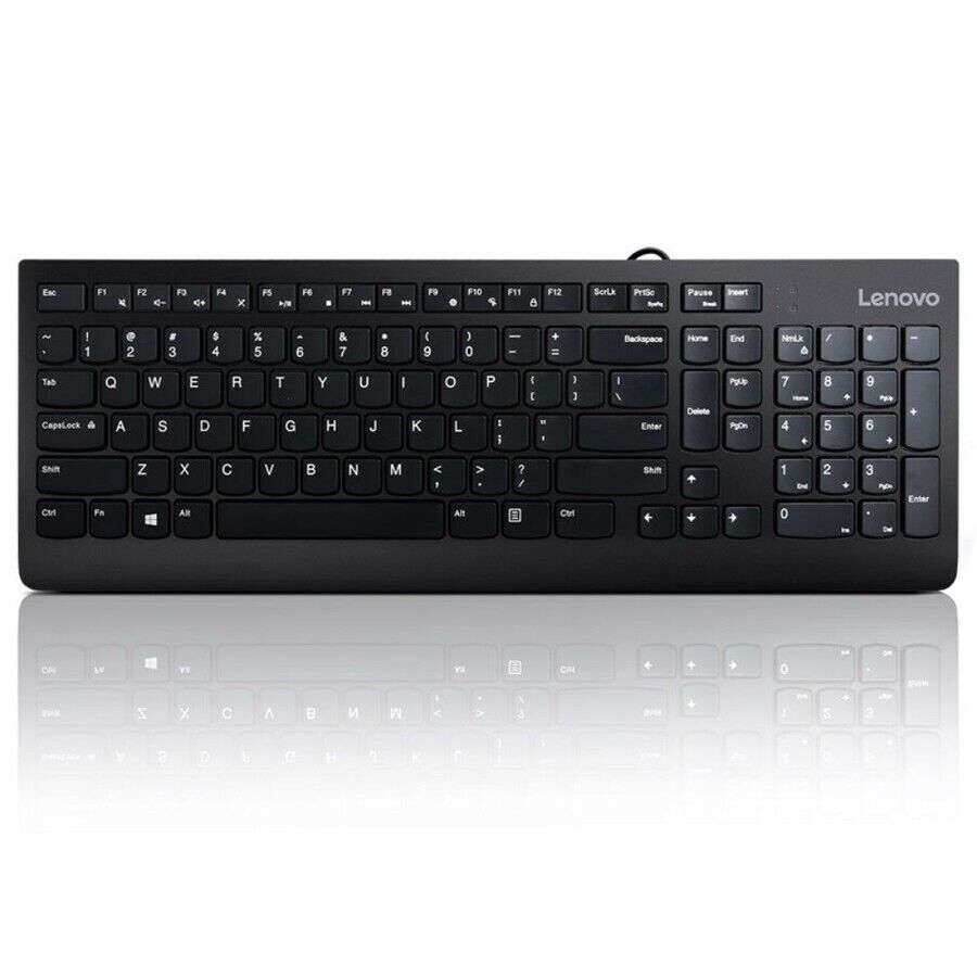 Lenovo GX30M39655 Classic 300 USB 104 Keys Standard Wired Keyboard BLACK