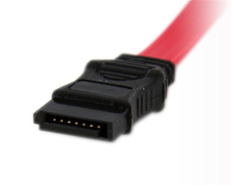 StarTech MCSATAF20 12in Micro SATA to SATA with LP4 Power Adapter Cable