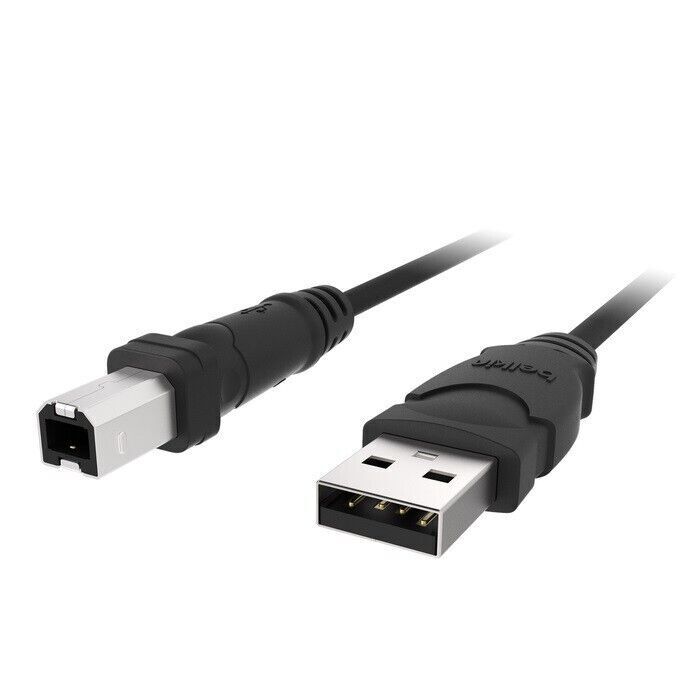Belkin F3U133B10 USB Cable - Type A Male USB - Type B Male USB - 10ft