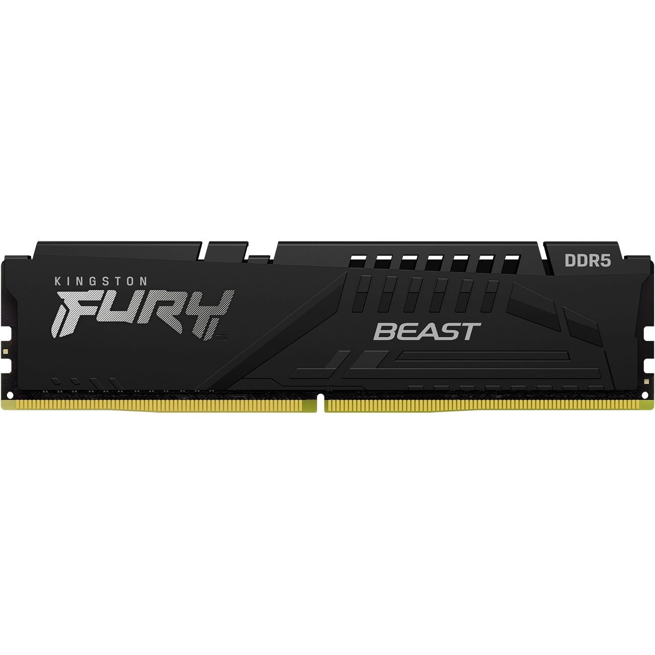 Kingston KF552C40BB-8 FURY Beast 8GB DDR5 SDRAM Memory Module