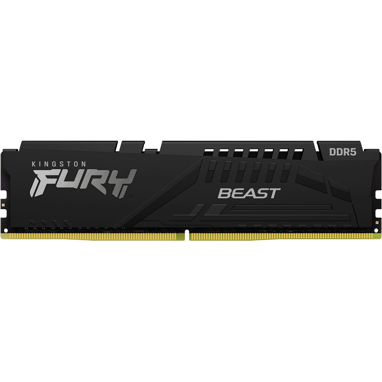 Kingston KF556C40BB-32 Fury Beast 32GB DDR5 SDRAM Memory Module