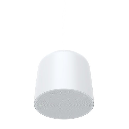 AXIS 02389-001 C1510 Large All-In-One Network Pendant Speaker for Installation
