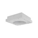 Algo 1199 Satellite Surface Mount Speaker