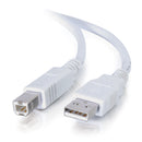 CablesToGo 13172 2m USB Cable - Type A Male - Type B Male - 6ft - White