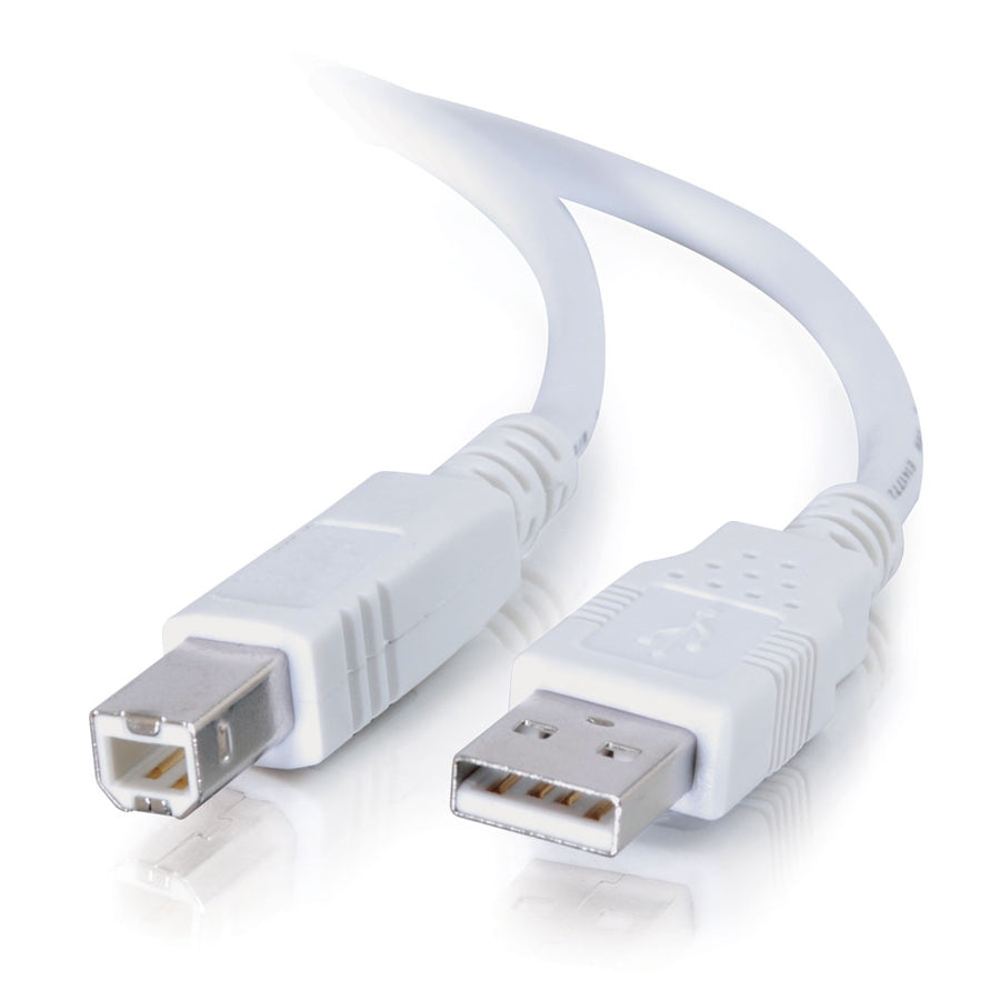 CablesToGo 13172 2m USB Cable - Type A Male - Type B Male - 6ft - White