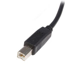StarTech USB2HAB6 6 ft USB 2.0 Certified A to B Cable - M/M Type A Male
