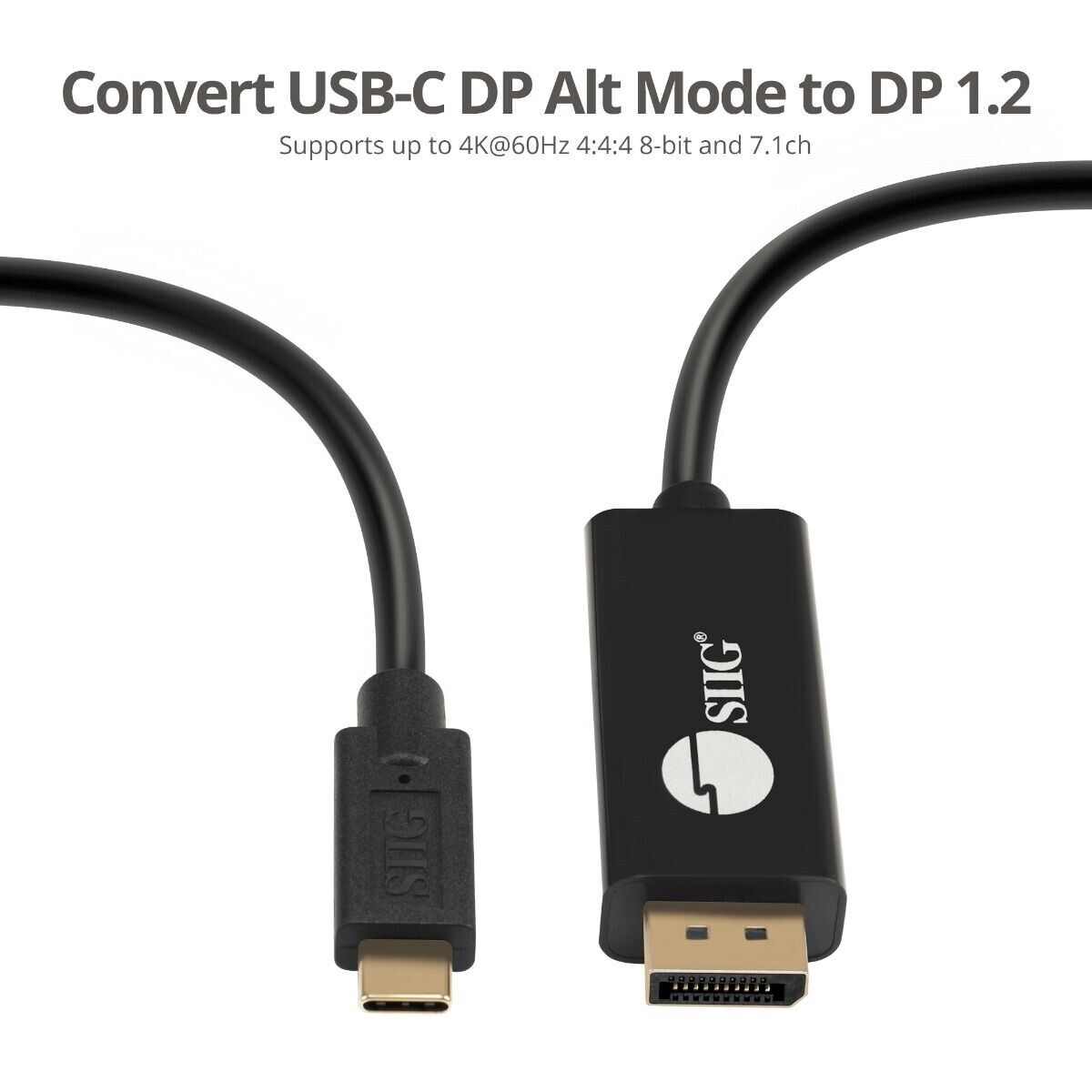 SIIG CB-TC0K11-S1 USB-C to DisplayPort Cable 2M OPP Bag