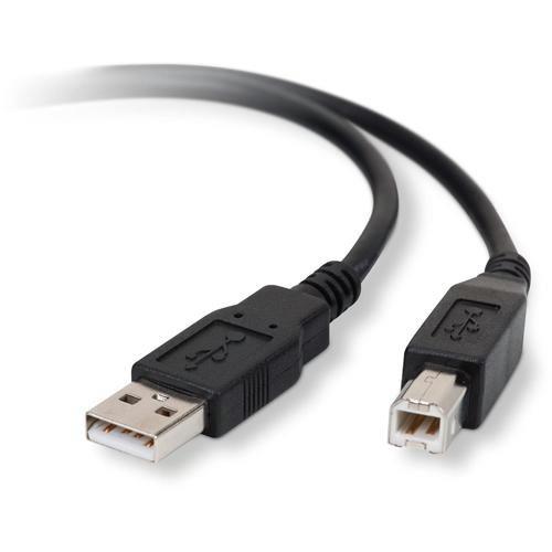 Belkin F3U133B10 USB Cable - Type A Male USB - Type B Male USB - 10ft