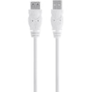 Belkin F3U153BT3M 3M (10FT) USB-A Male to USB-A Female Extension WHITE Cable