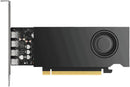 PNY VCNRTX2000ADAS-LLP NVIDIA RTX 2000E ADA Gen 16GB PCIe 4 x8 mDP Graphics Card