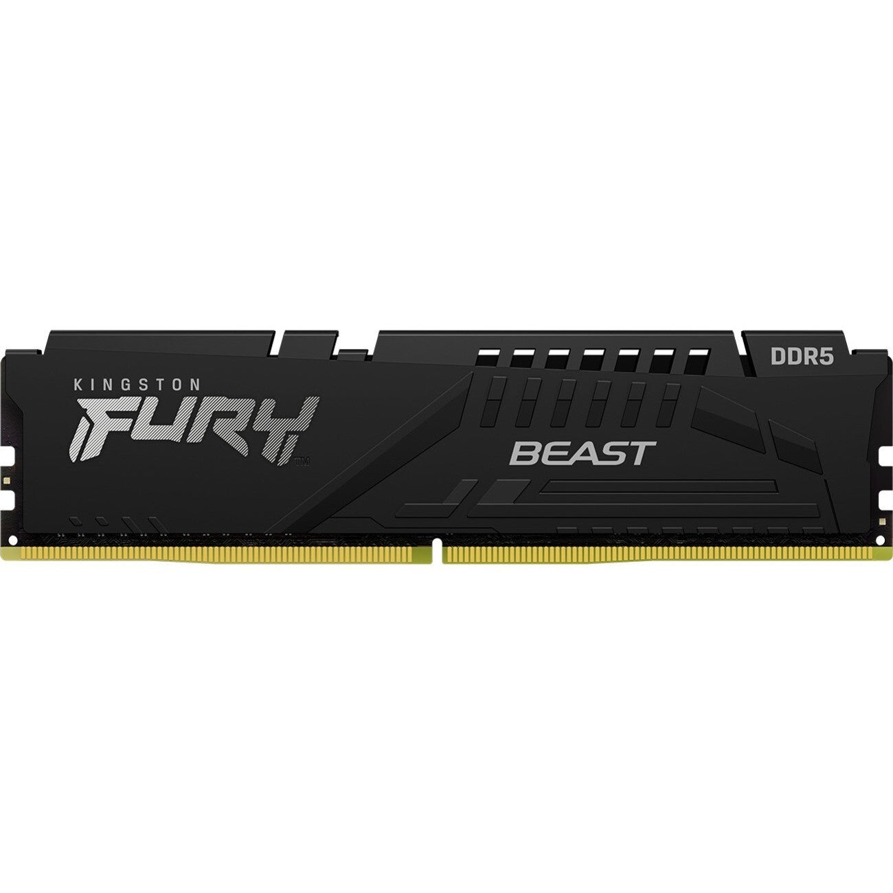 Kingston KF556C40BB-16 FURY Beast 16GB DDR5 SDRAM Memory Module for Motherboard