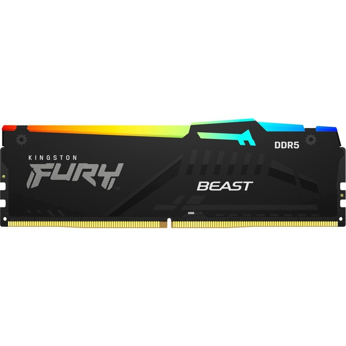 Kingston KF552C40BBA-16 FURY Beast 16GB DDR5 SDRAM Memory Module for Desktop PC