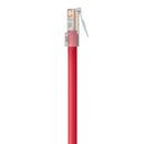 Belkin A3L791-02-RED Cat5e Patch Cable - RJ-45 Male - 2 ft - Red