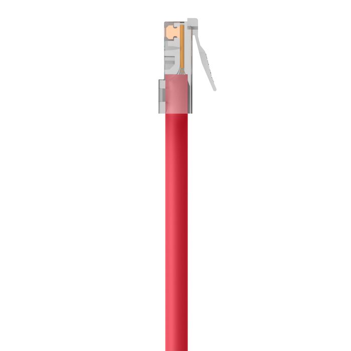 Belkin A3L791-02-RED Cat5e Patch Cable - RJ-45 Male - 2 ft - Red