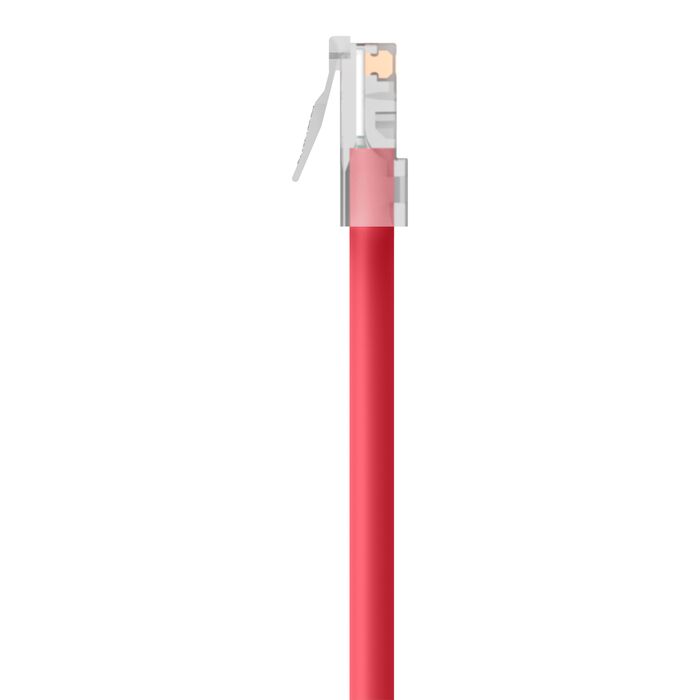 Belkin A3L791-02-RED Cat5e Patch Cable - RJ-45 Male - 2 ft - Red
