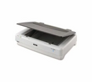 Epson B12B819221 Transparency Unit For Expression 12000XL-PH Photo Scanner