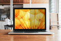3M BP170W1B Bright Screen Privacy Filter for 17in Laptop, 16:10