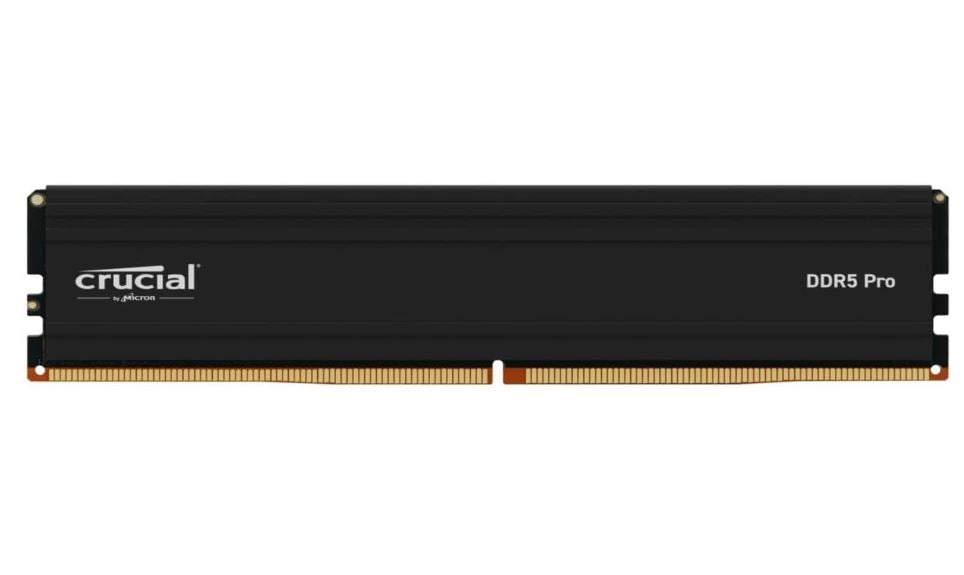 Crucial CP24G60C48U5 Pro - DDR5 - module - 24 GB - DIMM 288-pin - 6000 MHz