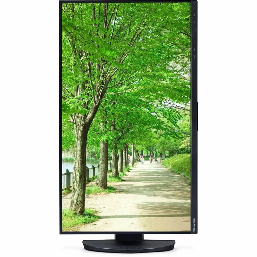 Sharp DD-EA242W MultiSync 24" Class WUXGA LED Monitor - 16:10 - Black