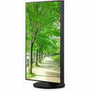 Sharp DD-EA242W MultiSync 24" Class WUXGA LED Monitor - 16:10 - Black