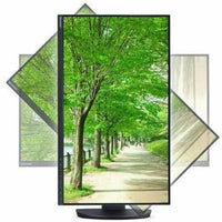 Sharp DD-EA242W MultiSync 24" Class WUXGA LED Monitor - 16:10 - Black
