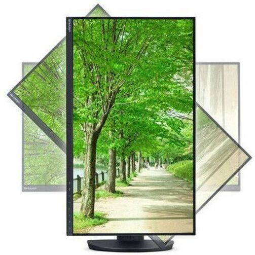 Sharp DD-EA242W MultiSync 24" Class WUXGA LED Monitor - 16:10 - Black