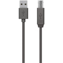 Belkin F3U154bt3M USB Data Transfer Cable - 9.84 ft  - Black