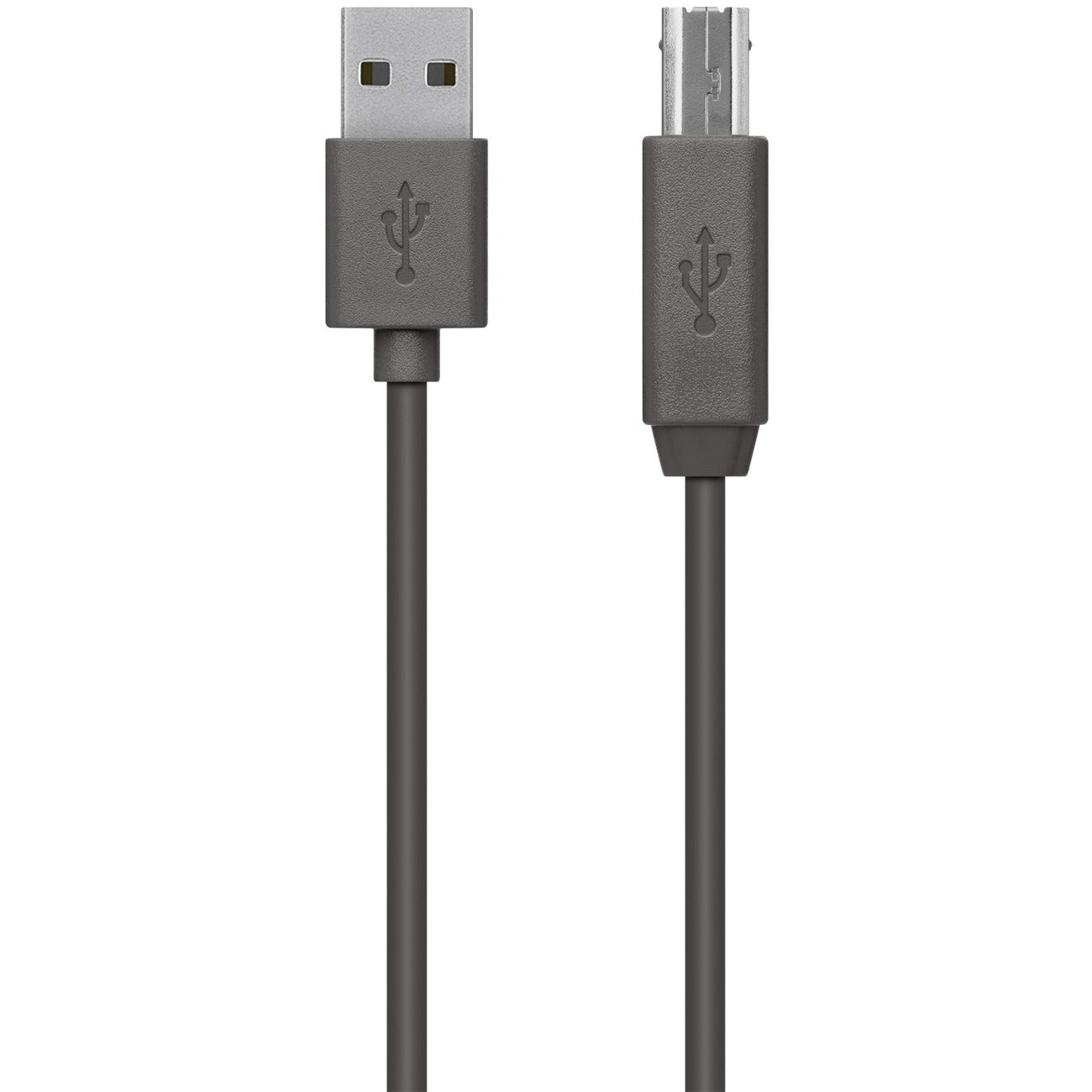 Belkin F3U154bt3M USB Data Transfer Cable - 9.84 ft  - Black