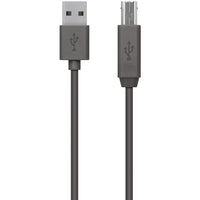Belkin F3U154bt3M USB Data Transfer Cable - 9.84 ft  - Black