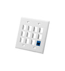 ICC ICC-IC107F12WH FACEPLATE- FLAT- 2-GANG- 12-PORT- WHITE