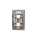 ICC ICC-IC107SF2SS FACEPLATE- STAINLESS STEEL-1-GANG-2-PORT