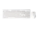 Bornd M610 WHITE M610 - Keyboard and Mouse set - wireless - white - retail