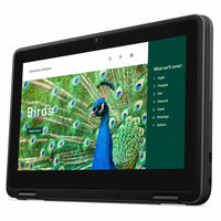 Dell NRD5N Chromebook 3000 3120 11.6" Clamshell - Intel Chipset - 1366 x 768