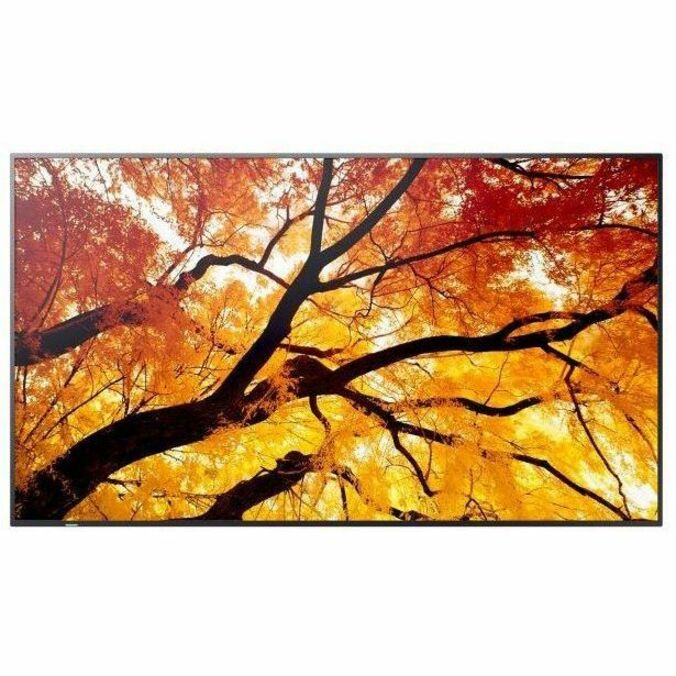 Sharp PN-M652 65" Ultra High-Definition Professional - Digital Signage Display
