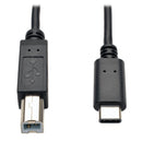 Eaton U040-006 USB-C to USB-B Cable - USB 2.0, (M/M), 6 ft. (1.83 m)