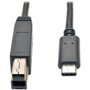Eaton U422-003-G2 3ft USB-C to USB-B Cable (M/M) - USB 3.2, Gen 2 (10 Gbps)