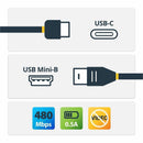 StarTech USB2CMB2M 2m 6 ft USB C to Mini USB Cable - M/M - USB 2.0 - Black