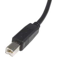 StarTech USB2HAB1 1 ft USB 2.0 A to B Cable - M/M - Black