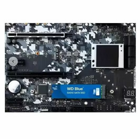 WD WDS500G3B0B-00AXS0 Blue SA510 500 GB Solid State Drive - M.2 Internal