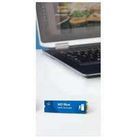 WD WDS500G3B0B-00AXS0 Blue SA510 500 GB Solid State Drive - M.2 Internal