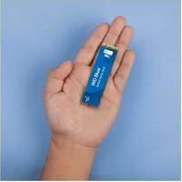 WD WDS500G3B0B-00AXS0 Blue SA510 500 GB Solid State Drive - M.2 Internal