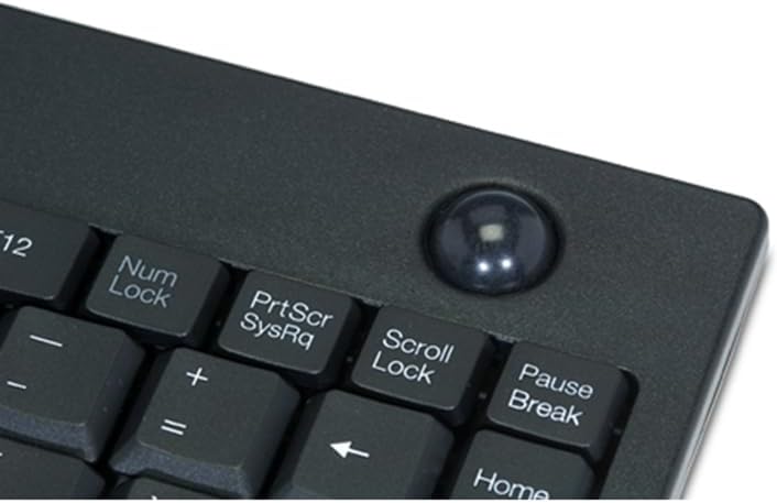 Adesso WKB-3100UB Wireless Keyboard - USB - 87 Keys - Black