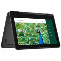 Dell YG2M1 3000 3120 11.6" Touchscreen Clamshell Chromebook - Intel N-Series